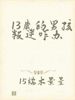 13岁的男孩子叛逆咋办