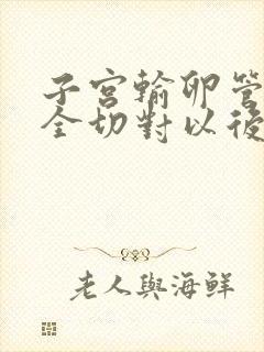 子宫输卵管卵巢全切对以后有什么影响