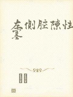 左侧腔隙性脑埂塞