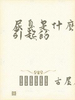 尿臭是什么原因引起的