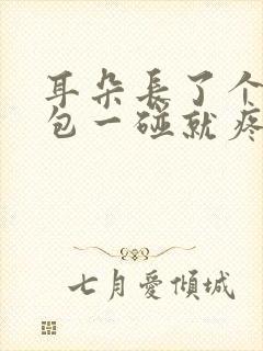 耳朵长了个小鼓包一碰就疼