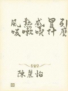 风热感冒引起的咳嗽吃什么药好得快