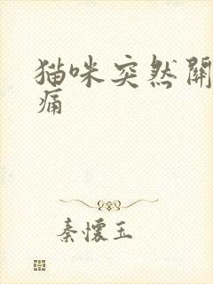 猫咪突然关节疼痛