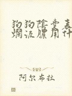 狗狗阴囊表皮溃烂流脓用什么药