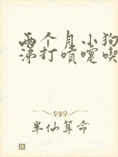 两个月小狗流鼻涕打喷嚏吃什么药