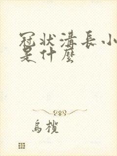 冠状沟长小肉刺是什么