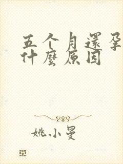 五个月还孕吐是什么原因