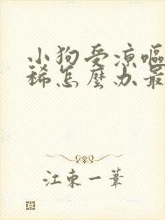 小狗受凉呕吐拉稀怎么办最快最有效的