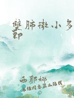 双肺微小多发结节