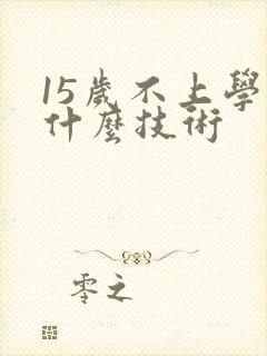 15岁不上学学什么技术