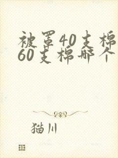 被罩40支棉和60支棉哪个好