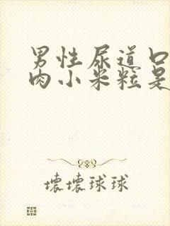 男性尿道口长了肉小米粒是怎么回事