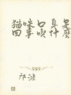 猫咪口臭是什么回事吃什么药