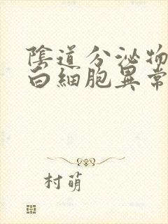 阴道分泌物检查白细胞异常