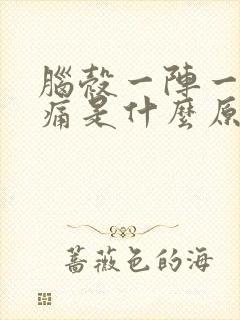 脑壳一阵一阵的痛是什么原因