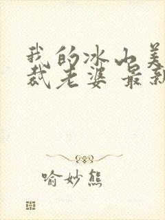 我的冰山美女总裁老婆 最新章节 无弹窗