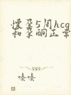 怀孕5周hcg和孕酮正常值