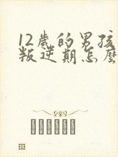 12岁的男孩子叛逆期怎么办