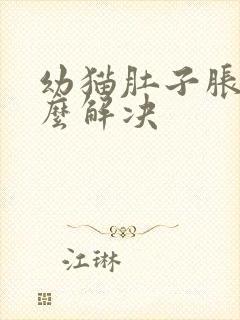 幼猫肚子胀气怎么解决