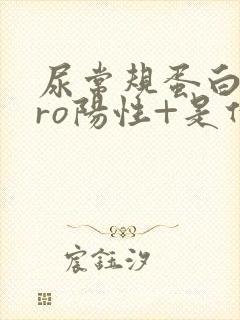 尿常规蛋白质pro阳性+是什么意思