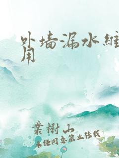 外墙漏水维修费用