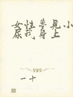 女性梦见小男孩尿我身上