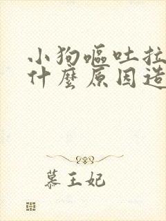 小狗呕吐拉稀是什么原因造成的