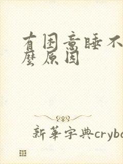 有困意睡不着什么原因