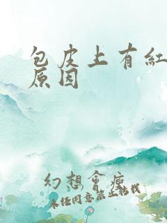 包皮上有红斑的原因