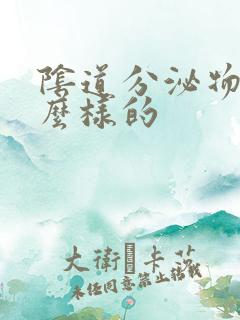 阴道分泌物是怎么样的