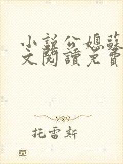 小说公媳苏晴全文阅读免费夜色无删减