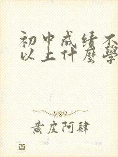 初中成绩不好可以上什么学校