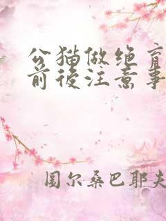 公猫做绝育手术前后注意事项