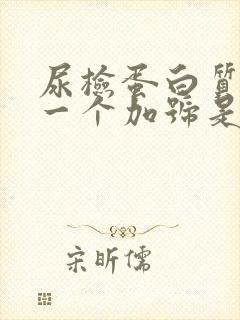 尿检蛋白质阳性一个加号是怎么回事