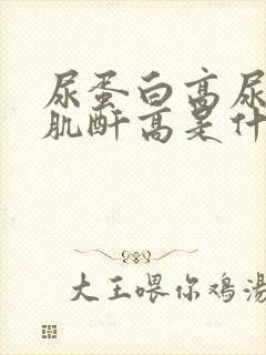 尿蛋白高尿酸高肌酐高是什么情况?