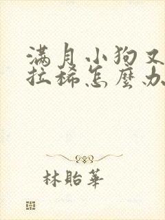 满月小狗又吐又拉稀怎么办