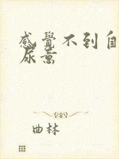 感觉不到自己有尿意