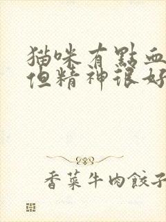 猫咪有点血尿 但精神很好