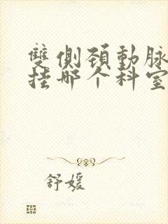 双侧颈动脉斑块挂哪个科室