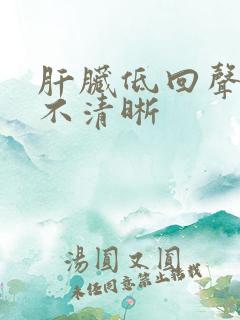 肝脏低回声边界不清晰