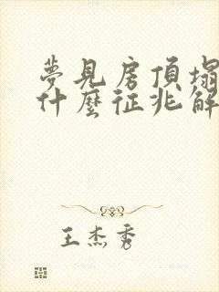 梦见房顶塌了是什么征兆解梦