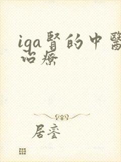 iga肾的中医治疗