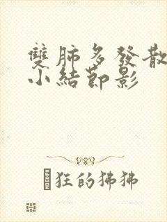 双肺多发散在微小结节影