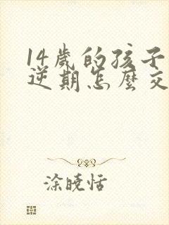 14岁的孩子叛逆期怎么交流