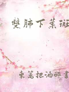 双肺下叶斑索影