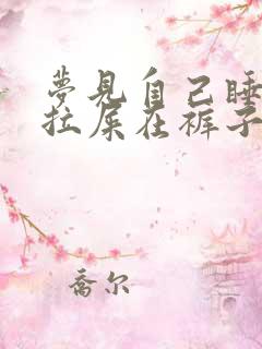 梦见自己睡觉时拉屎在裤子上