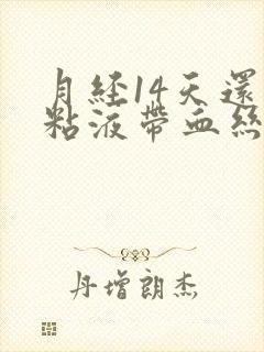 月经14天还有粘液带血丝