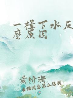 一楼下水反味什么原因