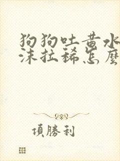 狗狗吐黄水带泡沫拉稀怎么办