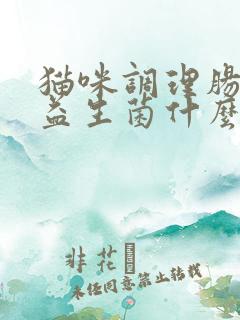 猫咪调理肠胃的益生菌什么牌子好